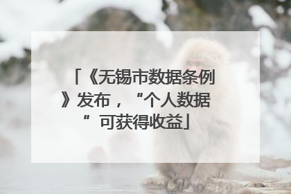 《无锡市数据条例》发布，“个人数据”可获得收益