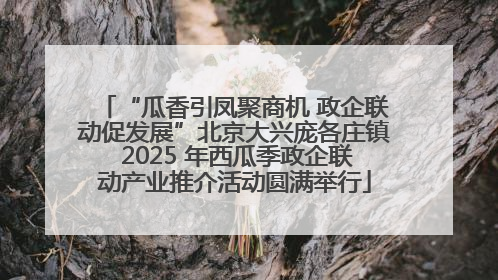 “瓜香引凤聚商机 政企联动促发展”北京大兴庞各庄镇 2025 年西瓜季政企联动产业推介活动圆满举行