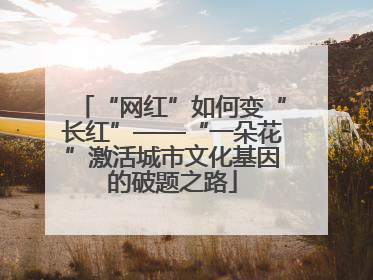 “网红”如何变“长红”——“一朵花”激活城市文化基因的破题之路