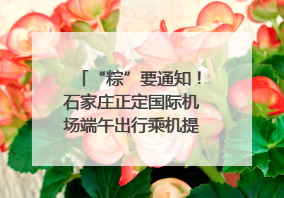 “粽”要通知！石家庄正定国际机场端午出行乘机提示，快来get