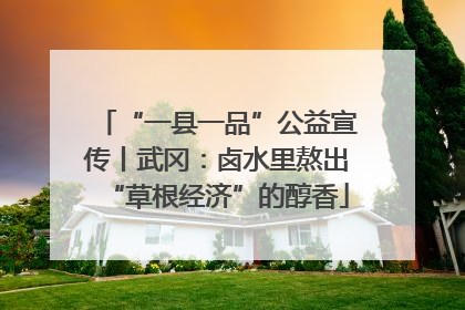 “一县一品”公益宣传丨武冈：卤水里熬出“草根经济”的醇香