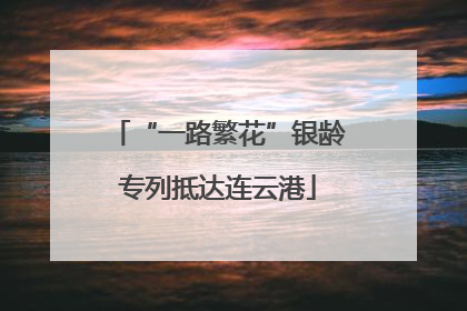 “一路繁花”银龄专列抵达连云港