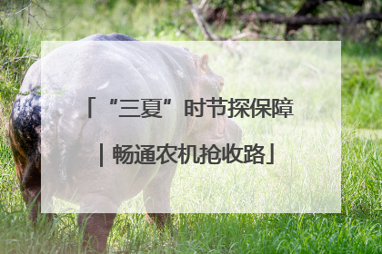 “三夏”时节探保障｜畅通农机抢收路