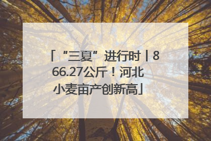 “三夏”进行时丨866.27公斤！河北小麦亩产创新高