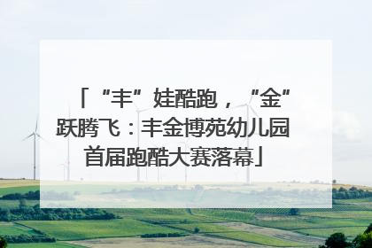 “丰”娃酷跑，“金”跃腾飞：丰金博苑幼儿园首届跑酷大赛落幕