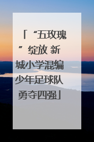 “五玫瑰”绽放 新城小学混编少年足球队勇夺四强