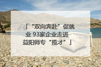 “双向奔赴”促就业 93家企业走进益阳师专“揽才”