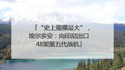 “史上规模最大”，埃尔多安：向印尼出口48架第五代战机