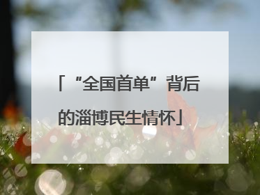 “全国首单”背后的淄博民生情怀