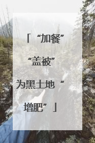 “加餐”“盖被” 为黑土地“增肥”