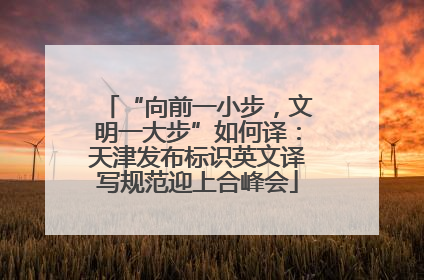“向前一小步，文明一大步”如何译：天津发布标识英文译写规范迎上合峰会
