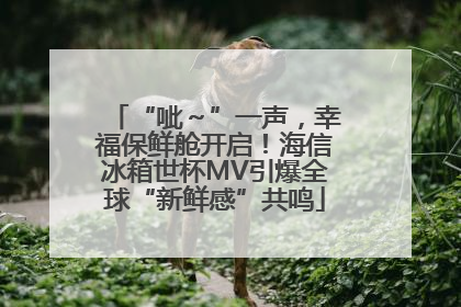 “呲～”一声，幸福保鲜舱开启！海信冰箱世杯MV引爆全球“新鲜感”共鸣