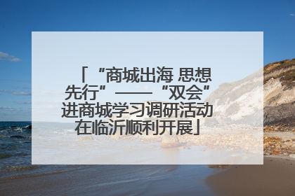 “商城出海 思想先行”——“双会”进商城学习调研活动在临沂顺利开展