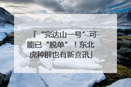 “完达山一号”可能已“脱单”！东北虎种群也有新喜讯