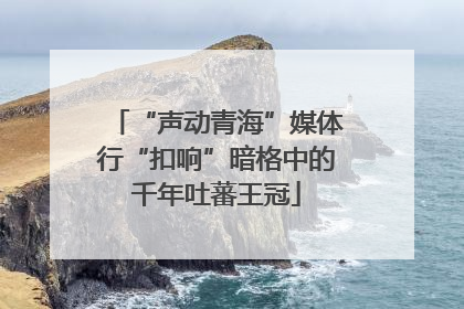 “声动青海”媒体行“扣响”暗格中的千年吐蕃王冠