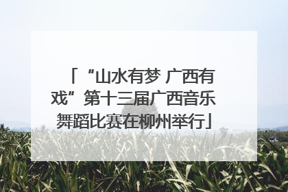 “山水有梦 广西有戏”第十三届广西音乐舞蹈比赛在柳州举行