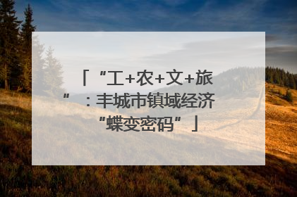 “工+农+文+旅”：丰城市镇域经济“蝶变密码”