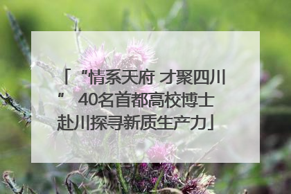 “情系天府 才聚四川” 40名首都高校博士赴川探寻新质生产力
