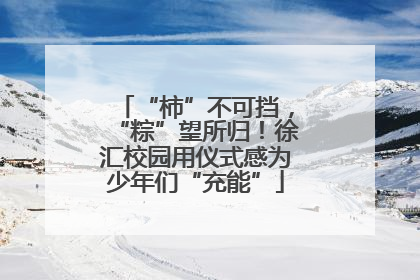 “柿”不可挡，“粽”望所归！徐汇校园用仪式感为少年们“充能”