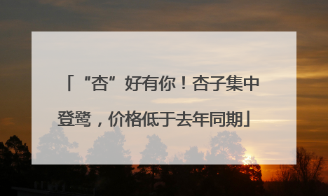 “杏”好有你！杏子集中登鹭，价格低于去年同期