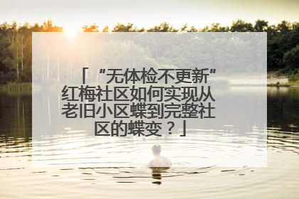 “无体检不更新”红梅社区如何实现从老旧小区蝶到完整社区的蝶变？
