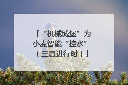 “机械城堡”为小麦智能“控水”（三夏进行时）