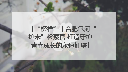 “榜样”｜合肥包河“护未”检察官 打造守护青春成长的永恒灯塔