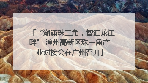 “潮涌珠三角，智汇龙江畔” 漳州高新区珠三角产业对接会在广州召开