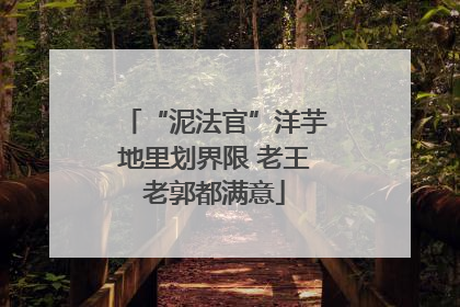 “泥法官”洋芋地里划界限 老王老郭都满意