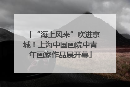 “海上风来”吹进京城！上海中国画院中青年画家作品展开幕