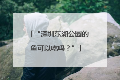 “深圳东湖公园的鱼可以吃吗？”