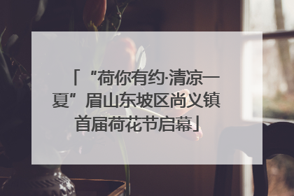 “荷你有约·清凉一夏”眉山东坡区尚义镇首届荷花节启幕