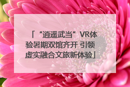 “逍遥武当”VR体验暑期双馆齐开 引领虚实融合文旅新体验