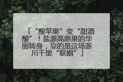 “酸苹果”变“甜酒酿”！盐源高原果的华丽转身，靠的是这场浙川千里“联姻”