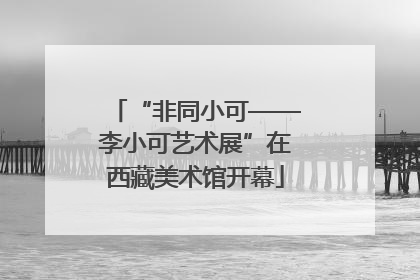 “非同小可——李小可艺术展”在西藏美术馆开幕