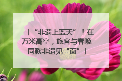 “非遗上蓝天”！在万米高空，旅客与春晚同款非遗见“面”