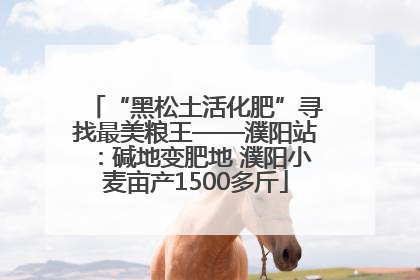 “黑松土活化肥”寻找最美粮王——濮阳站：碱地变肥地 濮阳小麦亩产1500多斤