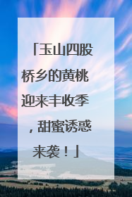 玉山四股桥乡的黄桃迎来丰收季，甜蜜诱惑来袭！