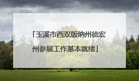 玉溪市西双版纳州德宏州参展工作基本就绪