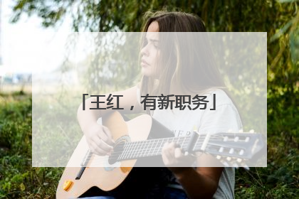 王红，有新职务