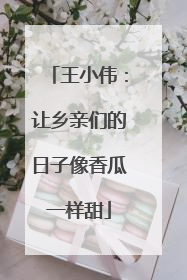 王小伟：让乡亲们的日子像香瓜一样甜