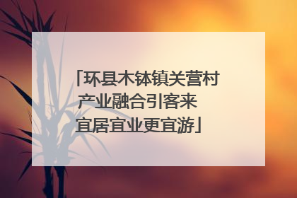 环县木钵镇关营村 产业融合引客来 宜居宜业更宜游