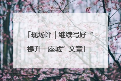 现场评｜继续写好“提升一座城”文章