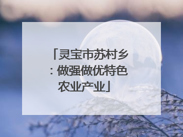 灵宝市苏村乡：做强做优特色农业产业