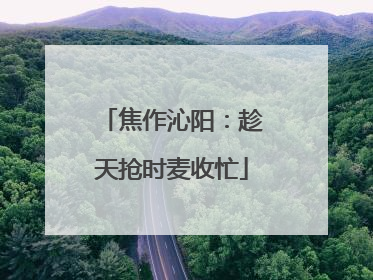 焦作沁阳：趁天抢时麦收忙