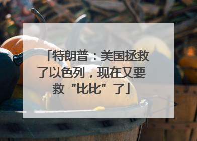 特朗普：美国拯救了以色列，现在又要救“比比”了