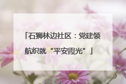 石狮林边社区：党建领航织就“平安霞光”
