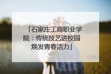 石家庄工商职业学院：传统技艺进校园焕发青春活力
