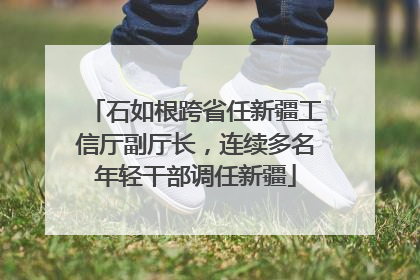 石如根跨省任新疆工信厅副厅长，连续多名年轻干部调任新疆