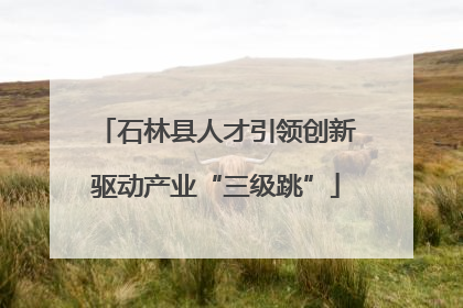 石林县人才引领创新驱动产业“三级跳”